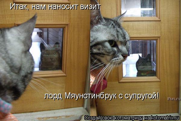 Итак, нам наносит визит лорд Мяунстинбрук с супругой!... Котоматрица: Итак, нам наносит визит лорд Мяунстинбрук с супругой!
