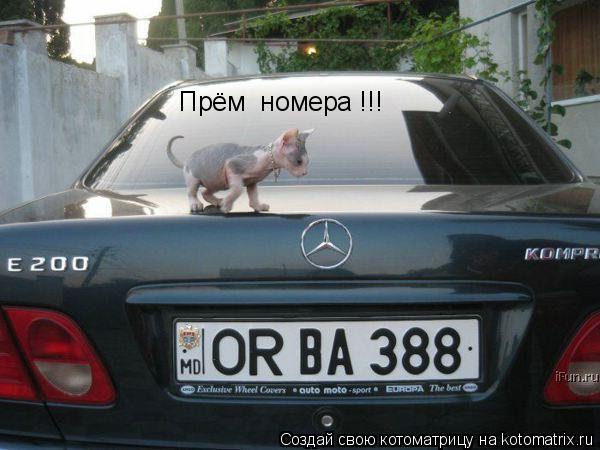 Прём номера !!!... Котоматрица: Прём номера !!!