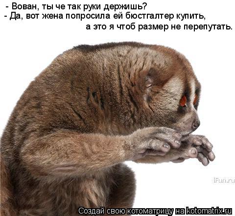 - Вован, ты че так руки держишь? - Да, вот жена попросила ей бюстгалтер купить, а это я чтоб размер ... Котоматрица: - Вован, ты че так руки держишь? - Да, вот жена попросила ей бюстгалтер купить, а это я чтоб размер не перепутать.