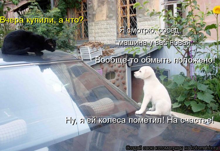 Котоматрица: Я смотрю, сосед,  машина у вас новая... Вчера купили, а что? Вообще-то обмыть положено! Ну, я ей колеса пометил! На счастье!