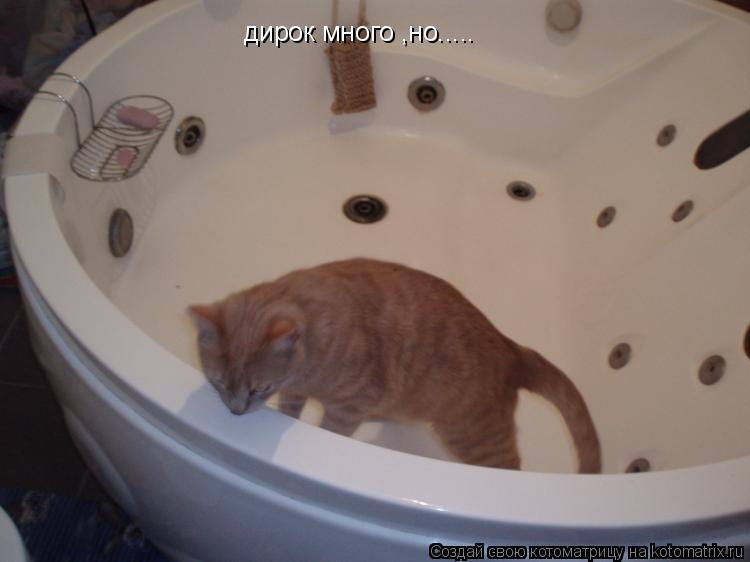 дирок много ,но........ Котоматрица: дирок много ,но.....