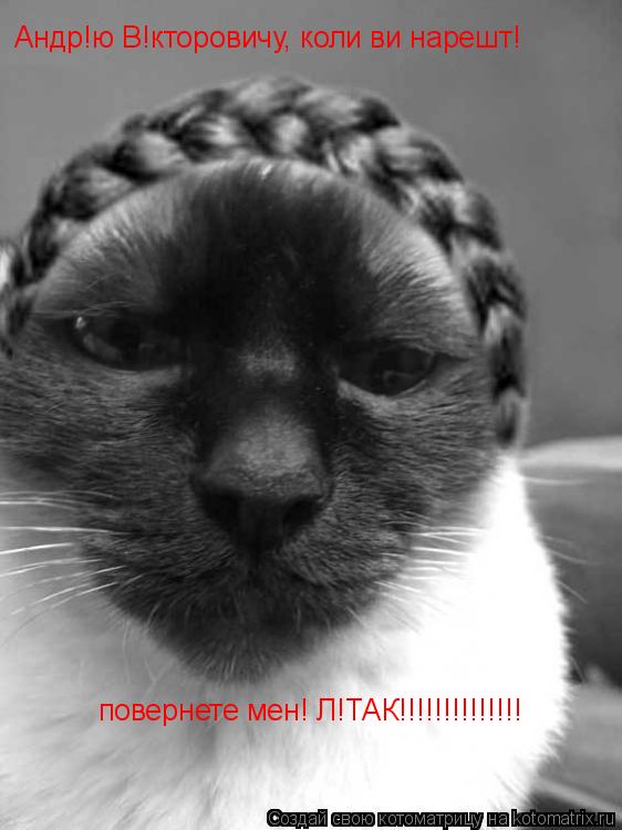 Андр!ю В!кторовичу, коли ви нарешт! повернете мен! Л!ТАК!!!!!!!!!!!!!!... Котоматрица: Андр!ю В!кторовичу, коли ви нарешт! повернете мен! Л!ТАК!!!!!!!!!!!!!!