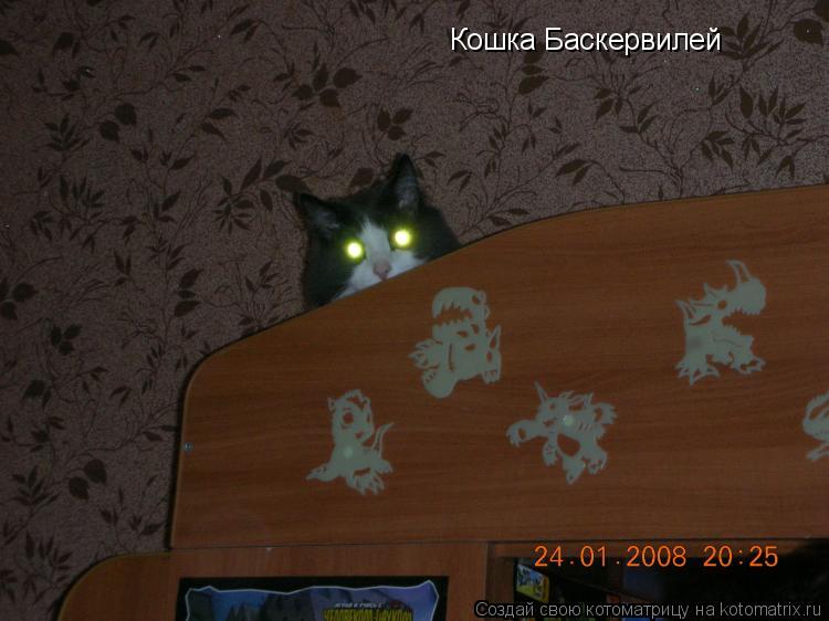 Кошка Баскервилей... Котоматрица: Кошка Баскервилей