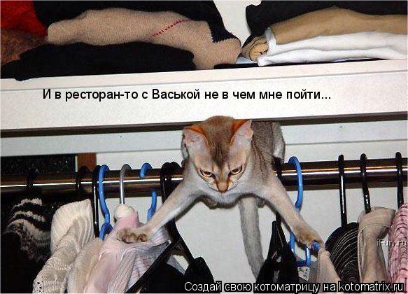 И в ресторан-то с Васькой не в чем мне пойти...... Котоматрица: И в ресторан-то с Васькой не в чем мне пойти...