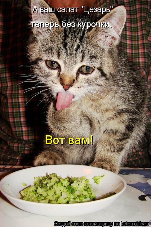 Котоматрица: А ваш салат "Цезарь"  теперь без курочки. Вот вам!