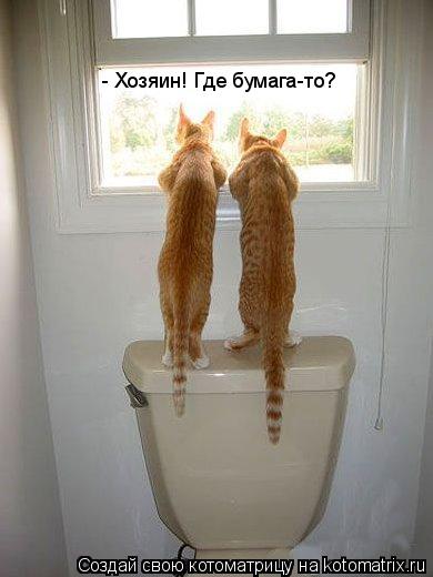- Хозяин! Где бумага-то?... Котоматрица: - Хозяин! Где бумага-то?