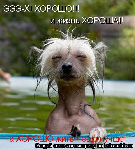 а ХОРОШО жить - еще лучше! ЭЭЭ-Х! ХОРОШО!!! и жизнь ХОРОША!!... Котоматрица: а ХОРОШО жить - еще лучше! ЭЭЭ-Х! ХОРОШО!!! и жизнь ХОРОША!!