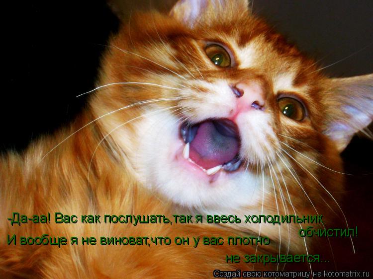 -Да-аа! Вас как послушать,так я ввесь холодильник обчистил! И вообще я не виноват,что он у вас плотно... Котоматрица: -Да-аа! Вас как послушать,так я ввесь холодильник обчистил! И вообще я не виноват,что он у вас плотно не закрывается...
