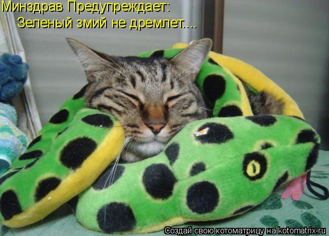 Минздрав Предупреждает: Зеленый змий не дремлет....... Котоматрица: Минздрав Предупреждает: Зеленый змий не дремлет....