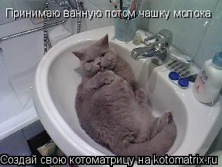 Принимаю ванную потом чашку молока... Котоматрица: Принимаю ванную потом чашку молока