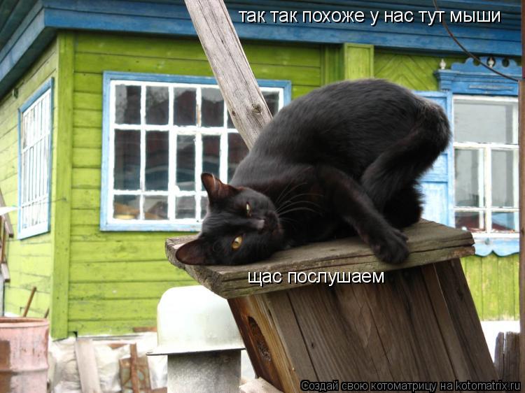 так так похоже у нас тут мыши щас послушаем... Котоматрица: так так похоже у нас тут мыши щас послушаем