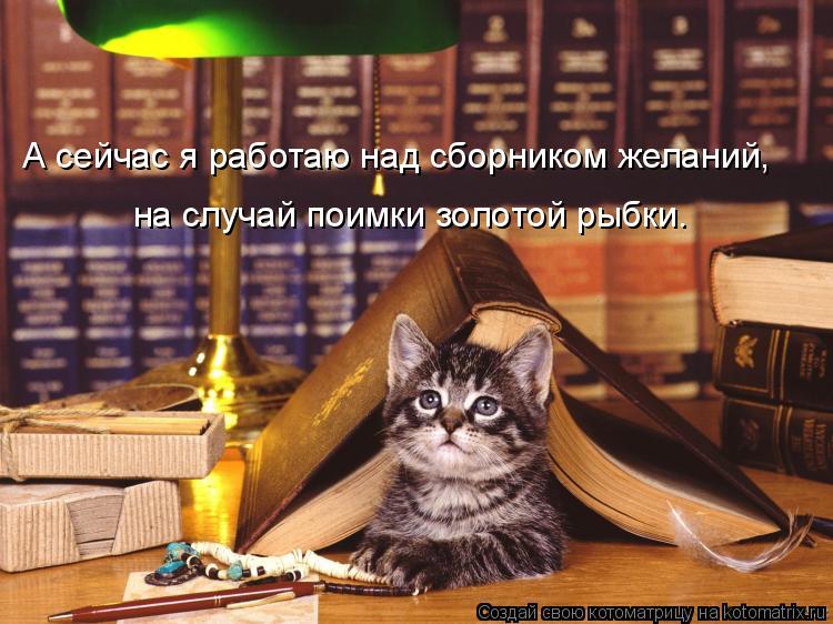 А сейчас я работаю над сборником желаний, на случай поимки золотой рыбки.... Котоматрица: А сейчас я работаю над сборником желаний, на случай поимки золотой рыбки.