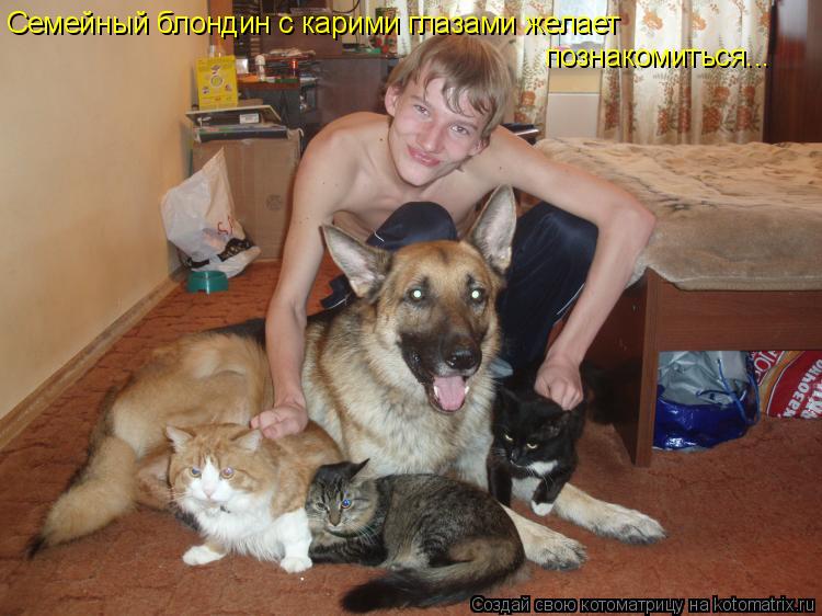 Котоматрица: Семейный блондин с карими глазами желает  познакомиться...