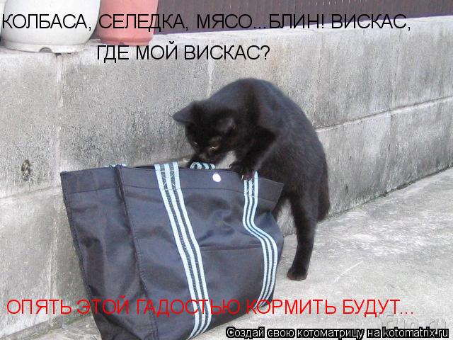 КОЛБАСА, СЕЛЕДКА, МЯСО...БЛИН! ВИСКАС, ГДЕ МОЙ ВИСКАС? ОПЯТЬ ЭТОЙ ГАДОСТЬЮ КОРМИТЬ БУДУТ...... Котоматрица: КОЛБАСА, СЕЛЕДКА, МЯСО...БЛИН! ВИСКАС, ГДЕ МОЙ ВИСКАС? ОПЯТЬ ЭТОЙ ГАДОСТЬЮ КОРМИТЬ БУДУТ...