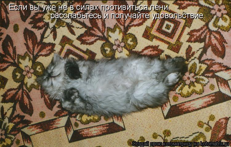 Если вы уже не в силах противиться лени, расслабьтесь и получайте удовольствие.... Котоматрица: Если вы уже не в силах противиться лени, расслабьтесь и получайте удовольствие.
