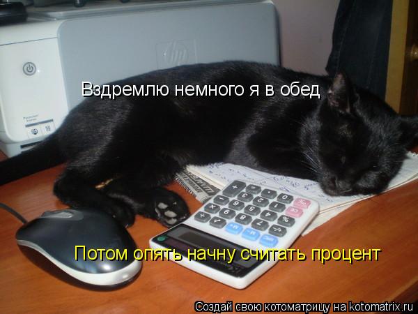 Вздремлю немного я в обед Потом опять начну считать процент... Котоматрица: Вздремлю немного я в обед Потом опять начну считать процент