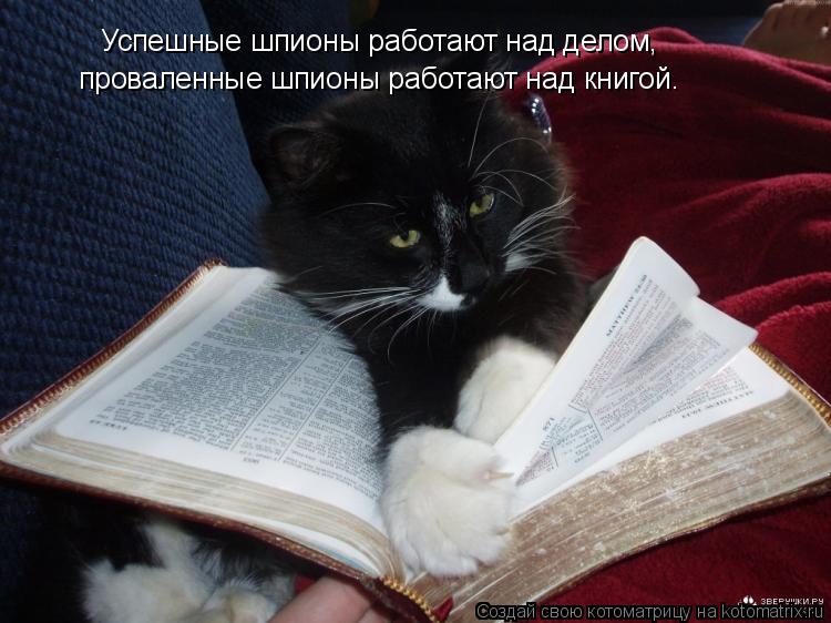 Котоматрица: Успешные шпионы работают над делом,  проваленные шпионы работают над книгой.