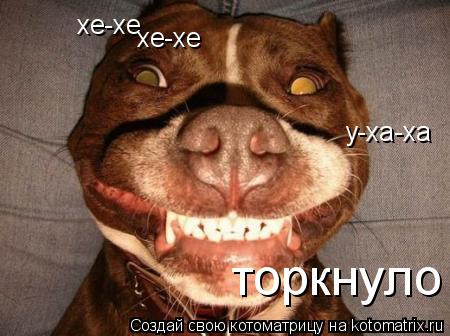 хе-хе хе-хе у-ха-ха торкнуло... Котоматрица: хе-хе хе-хе у-ха-ха торкнуло