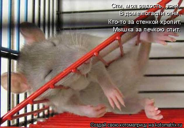 Спи, моя радость, усни. В доме погасли огни, Кто-то за стенкой хропит, Мышка за печкою спит.... Котоматрица: Спи, моя радость, усни. В доме погасли огни, Кто-то за стенкой хропит, Мышка за печкою спит.