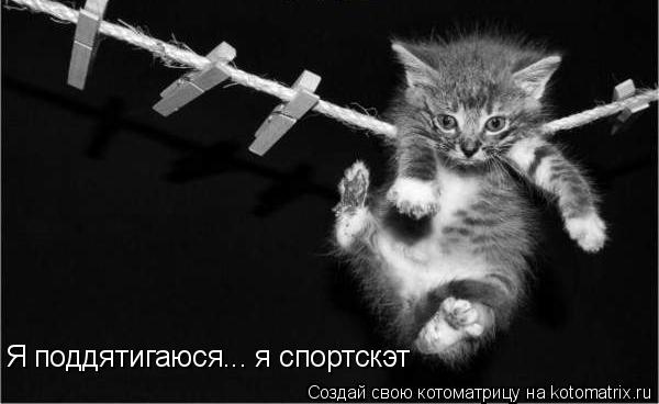 Я поддятигаюся... я спортскэт... Котоматрица: Я поддятигаюся... я спортскэт