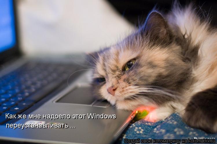 Котоматрица: Как же мне надоело этот Windows переустанавливать ...