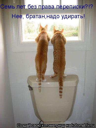 Семь лет без права переписки?!? Нее, братан,надо удирать!... Котоматрица: Семь лет без права переписки?!? Нее, братан,надо удирать!