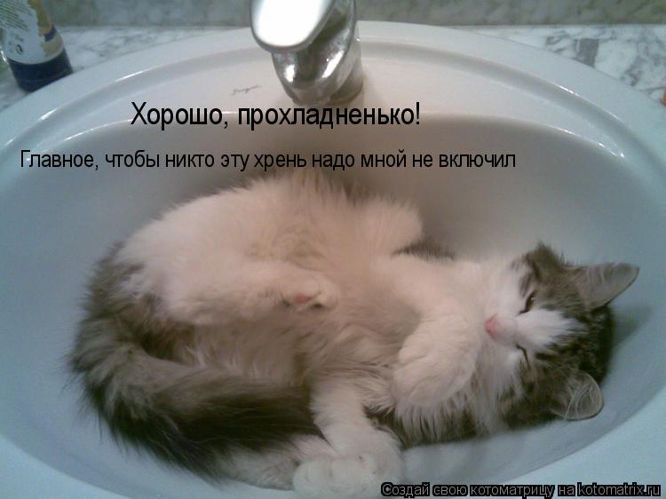Хорошо, прохладненько! Главное, чтобы никто эту хрень надо мной не включил... Котоматрица: Хорошо, прохладненько! Главное, чтобы никто эту хрень надо мной не включил