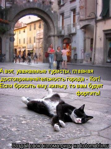 А вот, уважаемые туристы, главная достопримечательность города - Кот! Если бросить ему..кильку, то в... Котоматрица: А вот, уважаемые туристы, главная достопримечательность города - Кот! Если бросить ему..кильку, то вам будет фортить!