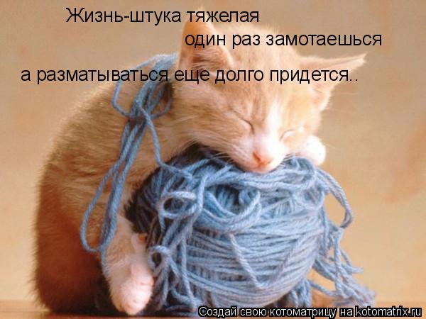 Жизнь-штука тяжелая один раз замотаешься а разматываться еще долго придется..... Котоматрица: Жизнь-штука тяжелая один раз замотаешься а разматываться еще долго придется..