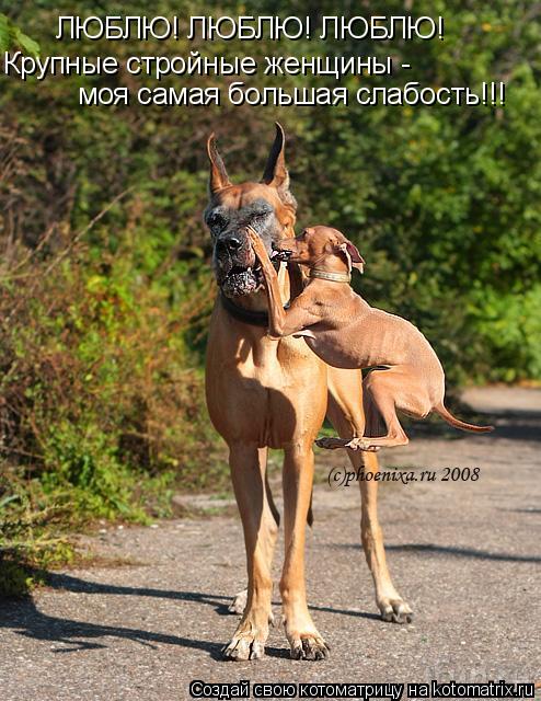 Котоматрица: ЛЮБЛЮ! ЛЮБЛЮ! ЛЮБЛЮ! Крупные стройные женщины - моя самая большая слабость!!!
