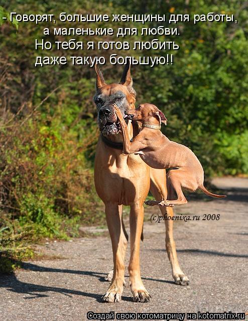 Котоматрица: - Говорят, большие женщины для работы, а маленькие для любви. Но тебя я готов любить даже такую большую!!
