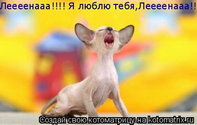 Леееенааа!!!! Я люблю тебя,Леееенааа!!... Котоматрица: Леееенааа!!!! Я люблю тебя,Леееенааа!!