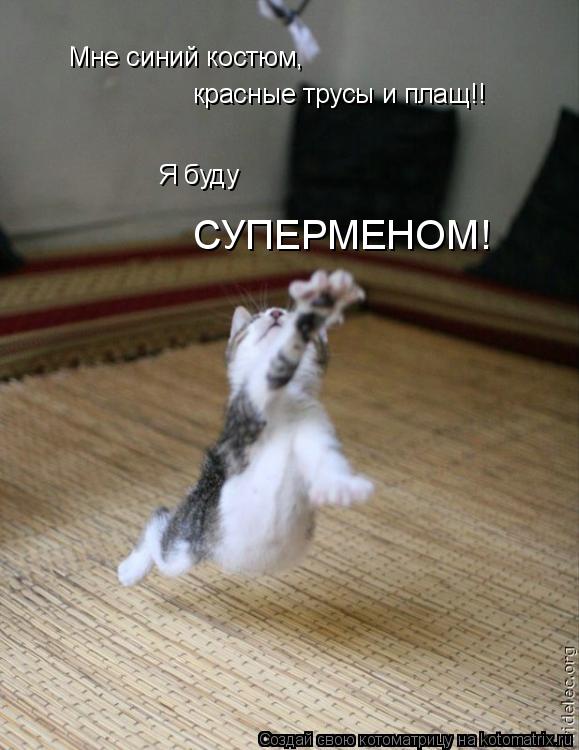 Мне синий костюм, красные трусы и плащ!! Я буду СУПЕРМЕНОМ!... Котоматрица: Мне синий костюм, красные трусы и плащ!! Я буду СУПЕРМЕНОМ!