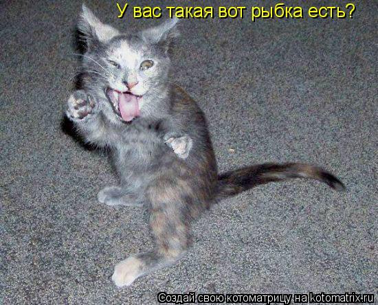 У вас такая вот рыбка есть?... Котоматрица: У вас такая вот рыбка есть?