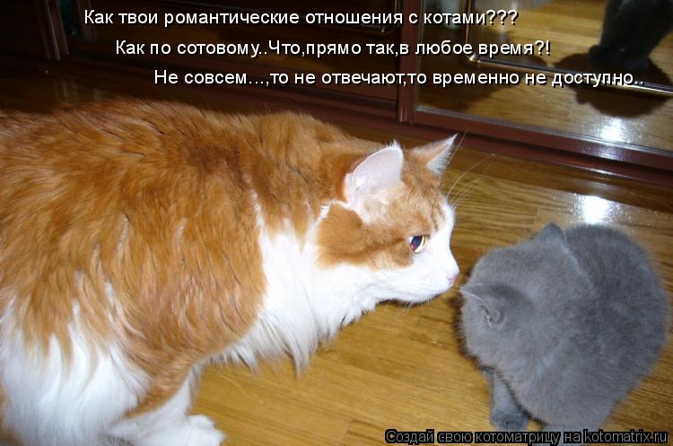 Как твои романтические отношения с котами??? Как по сотовому..Что,прямо так,в любое время?! Не совсем... Котоматрица: Как твои романтические отношения с котами??? Как по сотовому..Что,прямо так,в любое время?! Не совсем...,то не отвечают,то временно не доступно.