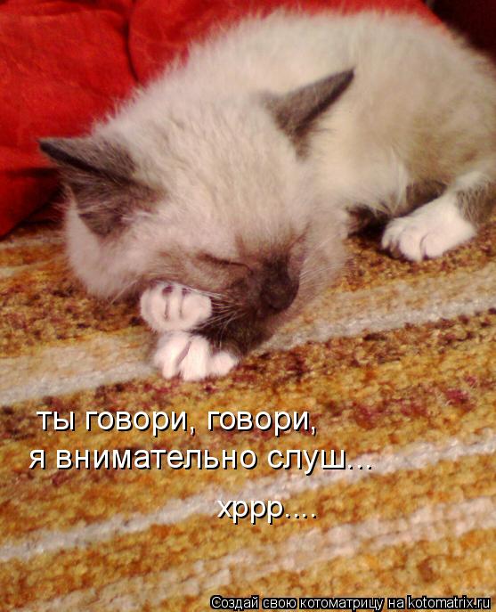ты говори, говори, я внимательно слуш... хррр....... Котоматрица: ты говори, говори, я внимательно слуш... хррр....