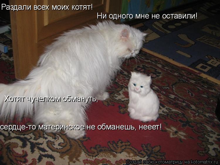 Котоматрица: Раздали всех моих котят! Ни одного мне не оставили! Хотят чучелком обмануть, сердце-то материнское не обманешь, нееет!