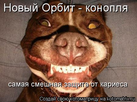 Новый Орбит - конопля самая смешная защита от кариеса... Котоматрица: Новый Орбит - конопля самая смешная защита от кариеса