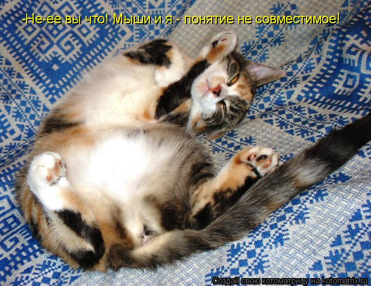 -Не-ее,вы что! Мыши и я - понятие не совместимое!... Котоматрица: -Не-ее,вы что! Мыши и я - понятие не совместимое!