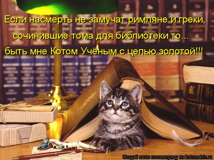 Если насмерть не замучат римляне и греки, быть мне Котом Учёным с цепью золотой!!! сочинившие тома дл... Котоматрица: Если насмерть не замучат римляне и греки, быть мне Котом Учёным с цепью золотой!!! сочинившие тома для библиотеки то...