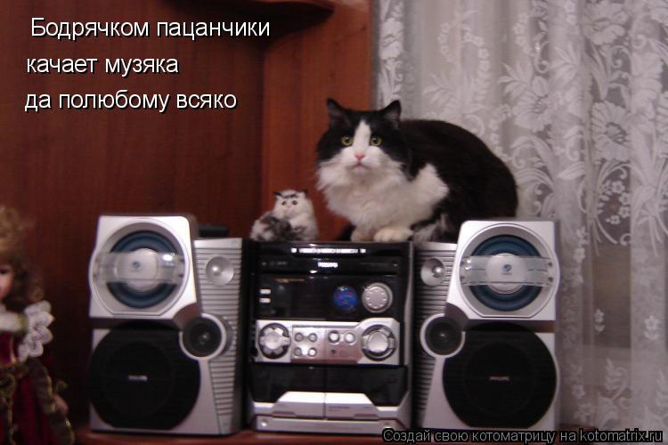 Бодрячком пацанчики качает музяка да полюбому всяко... Котоматрица: Бодрячком пацанчики качает музяка да полюбому всяко