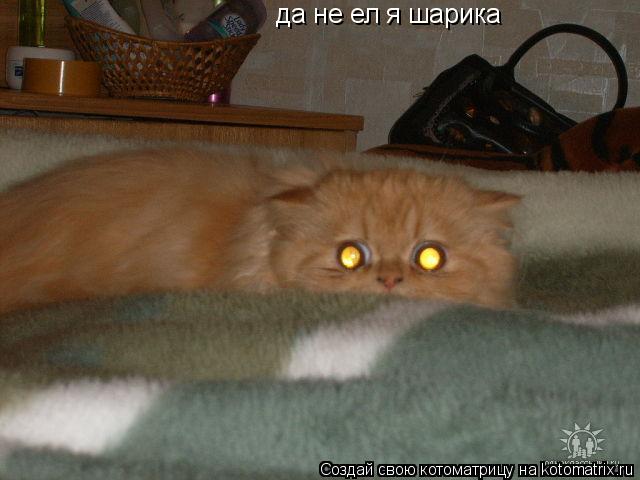 да не ел я шарика... Котоматрица: да не ел я шарика