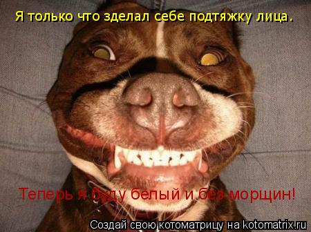 Я только что зделал себе подтяжку лица. Теперь я буду белый и без морщин!... Котоматрица: Я только что зделал себе подтяжку лица. Теперь я буду белый и без морщин!