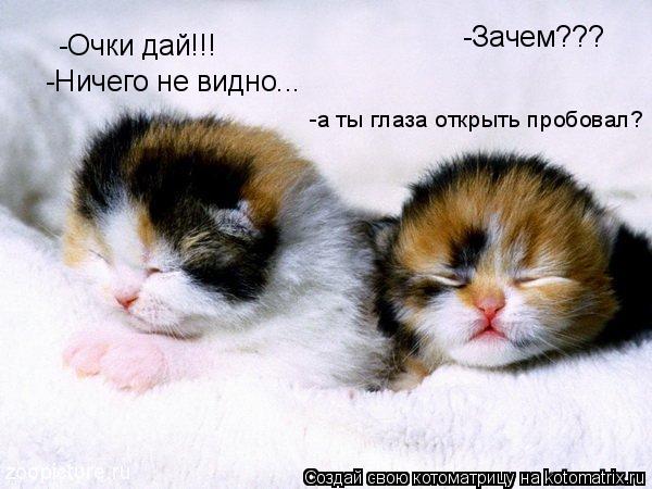 -Очки дай!!! -Зачем??? -Ничего не видно... -а ты глаза открыть пробовал?... Котоматрица: -Очки дай!!! -Зачем??? -Ничего не видно... -а ты глаза открыть пробовал?