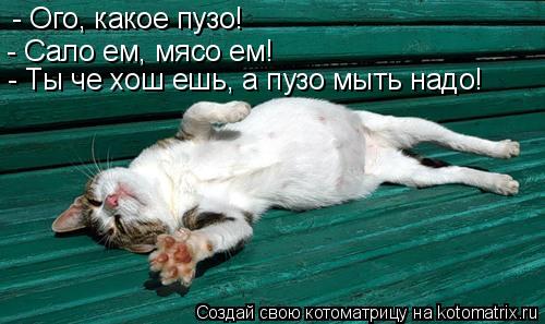 - Ого, какое пузо! - Сало ем, мясо ем! - Ты че хош ешь, а пузо мыть надо!... Котоматрица: - Ого, какое пузо! - Сало ем, мясо ем! - Ты че хош ешь, а пузо мыть надо!
