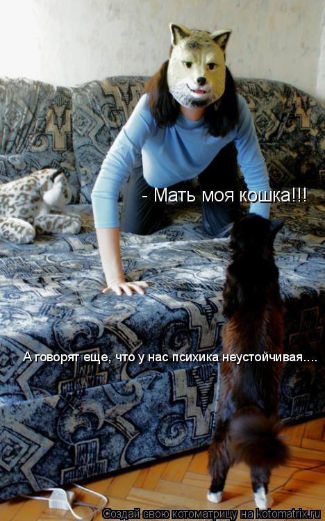 - Мать моя кошка!!! А говорят еще, что у нас психика неустойчивая....... Котоматрица: - Мать моя кошка!!! А говорят еще, что у нас психика неустойчивая....
