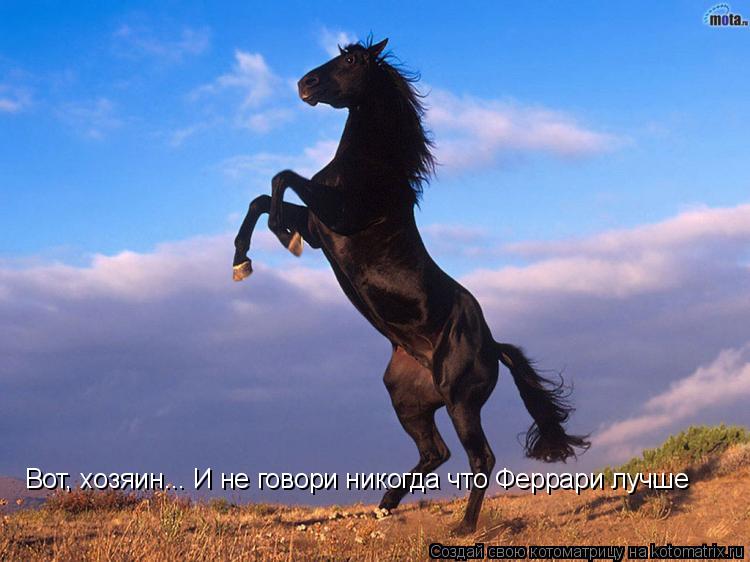 Вот, хозяин... И не говори никогда что Феррари лучше... Котоматрица: Вот, хозяин... И не говори никогда что Феррари лучше