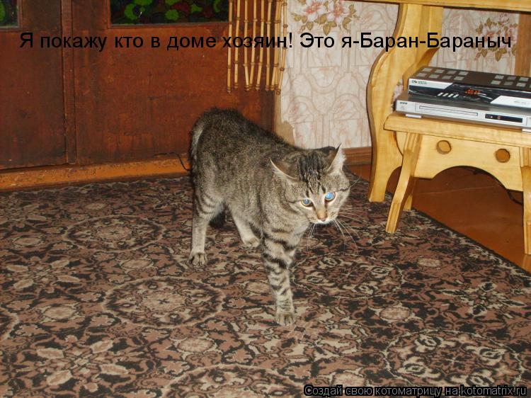 Я покажу кто в доме хозяин! Это я-Баран-Бараныч... Котоматрица: Я покажу кто в доме хозяин! Это я-Баран-Бараныч