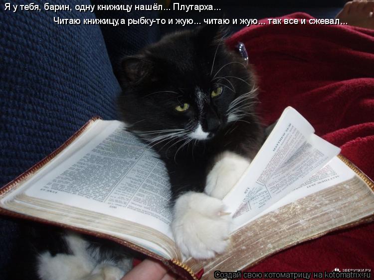 Я у тебя, барин, одну книжицу нашёл... Плутарха... Читаю книжицу,а рыбку-то и жую... читаю и жую... ... Котоматрица: Я у тебя, барин, одну книжицу нашёл... Плутарха... Читаю книжицу,а рыбку-то и жую... читаю и жую... так все и сжевал...