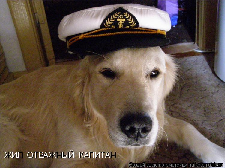 Котоматрица: ЖИЛ  ОТВАЖНЫЙ  КАПИТАН..